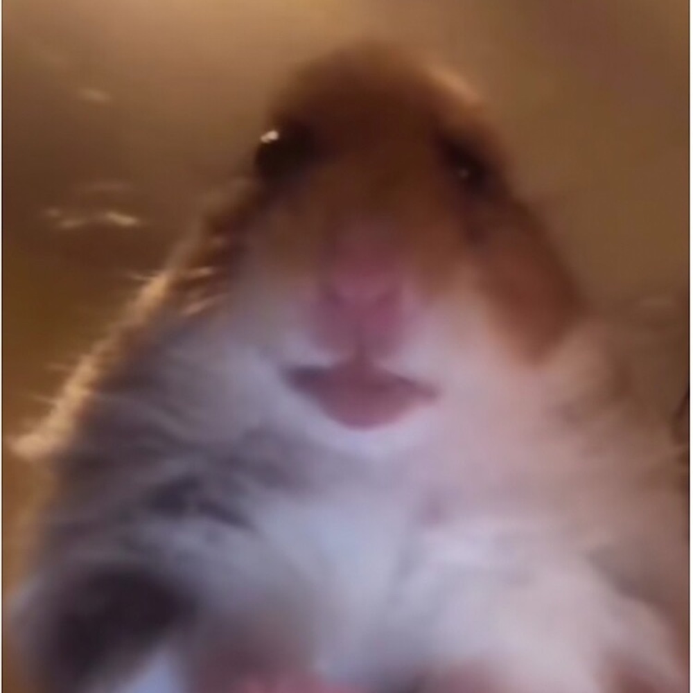 Meet your Posher, Day